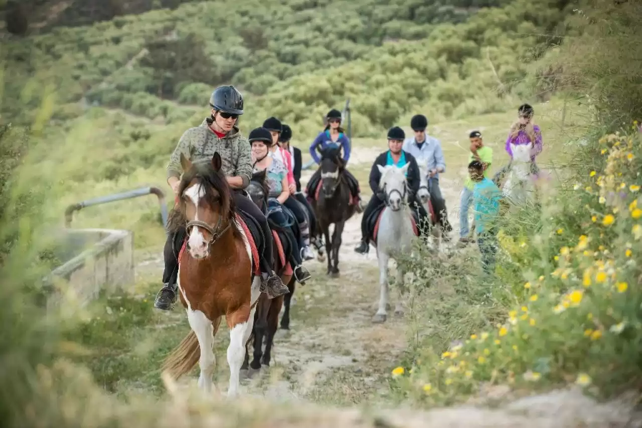 Horse Riding