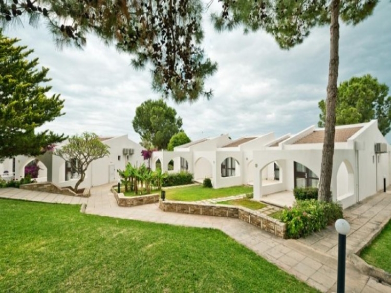 The Olive Tree Hotel